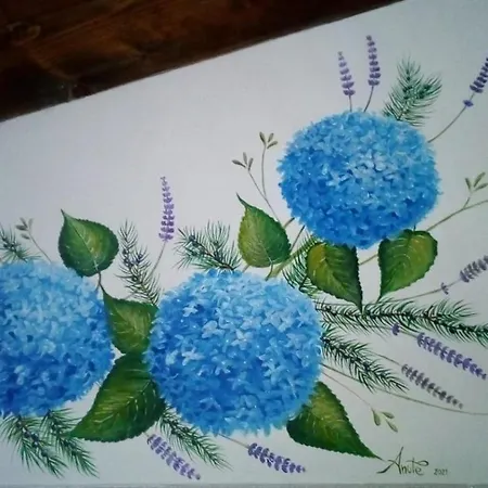 Hébergement de vacances Tana Da L'ors *