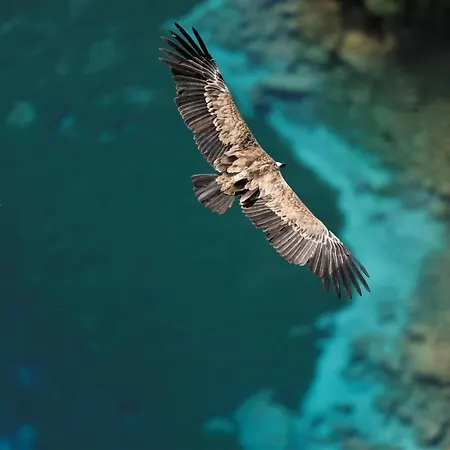 Tana Da L'ors * Forgaria nel Friuli