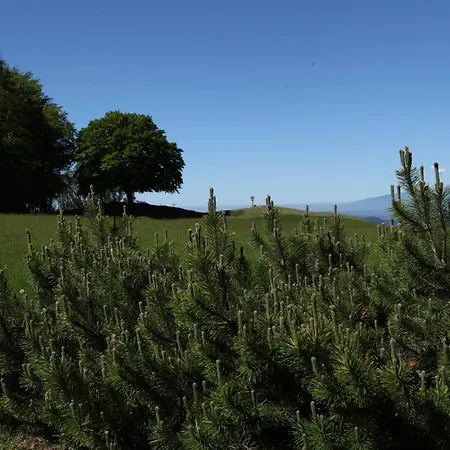 Hébergement de vacances Tana Da L'ors *