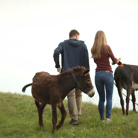 Tana Da L'ors Feriehus