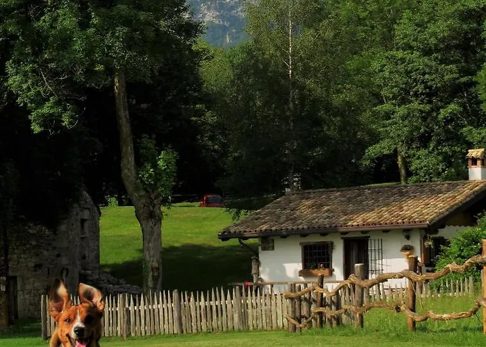 Tana Da L'ors Nyaraló *