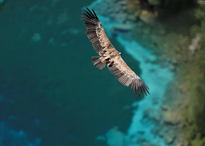 Tana Da L'ors * Forgaria nel Friuli