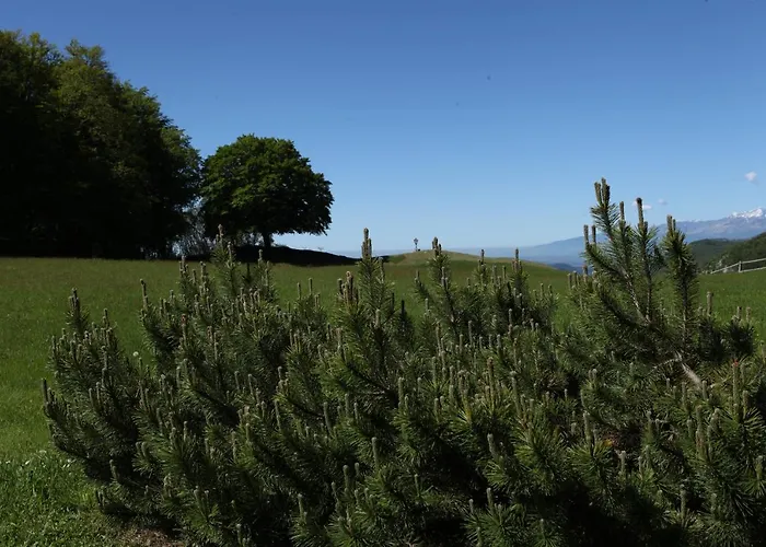 Nyaraló Tana Da L'ors *