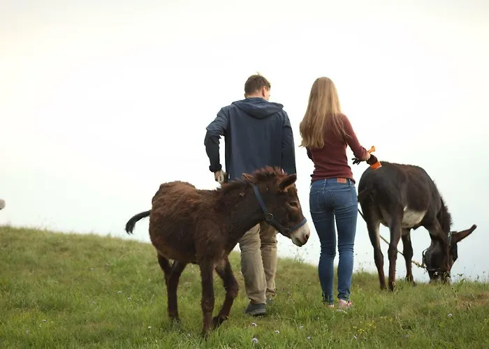 Tana Da L'ors Nyaraló